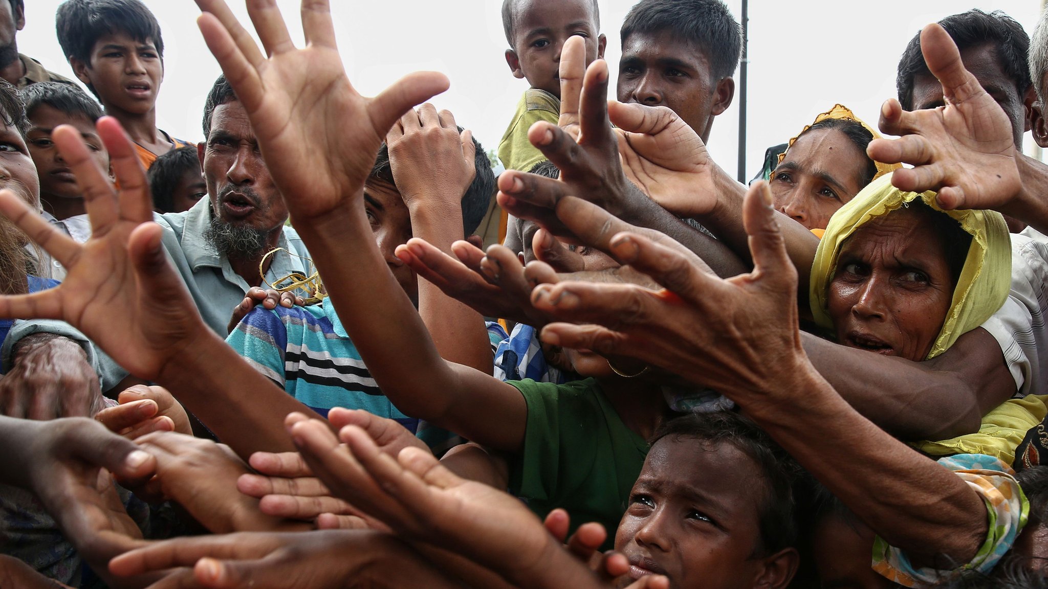 rohingya