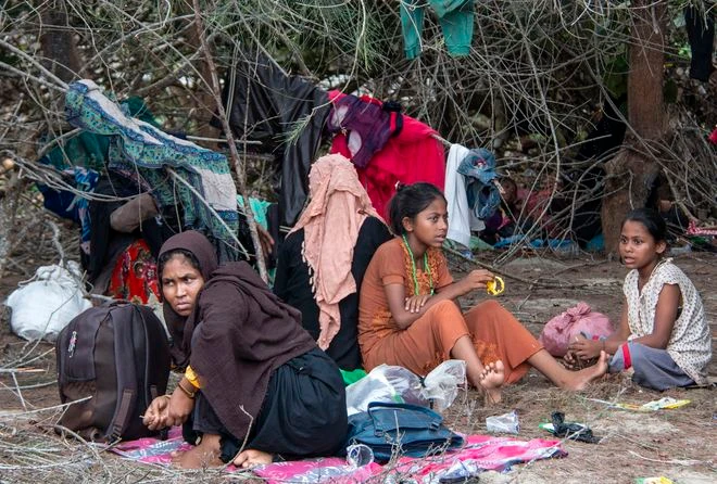 50,000 Rohingya to Seek Border Safety