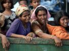 Rohingya