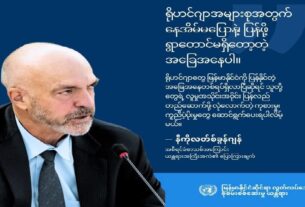 IIMM head Nicholas Koumjian